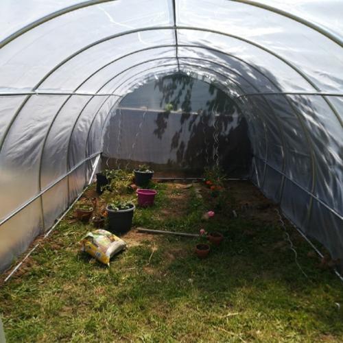 Filet-tunnel avec arceaux - Accessoires de jardin, Gazon, Produits pour le  soin des plantes / Accélération de la croissance - Samen-Mauser